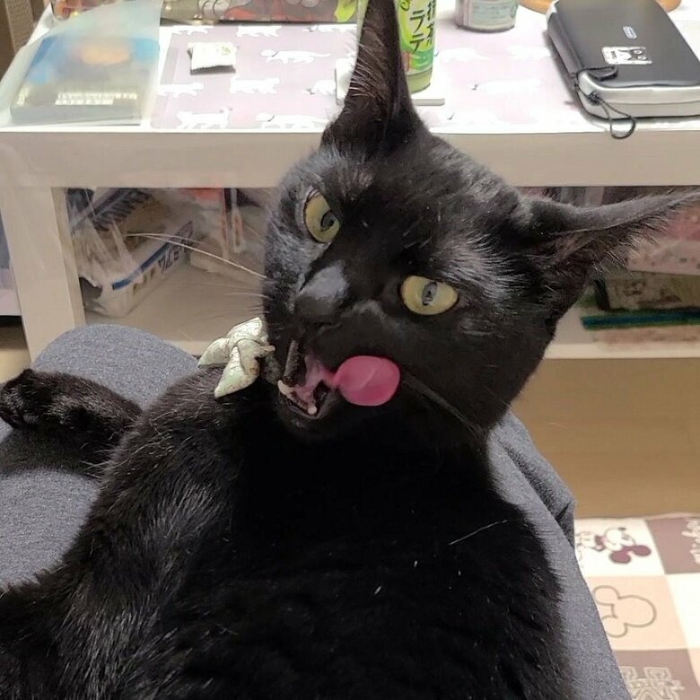 ぺろん