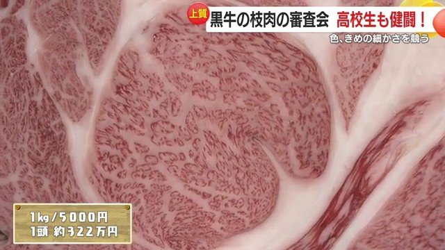 1頭約322万円のグランドチャンピオンとなった黒牛③