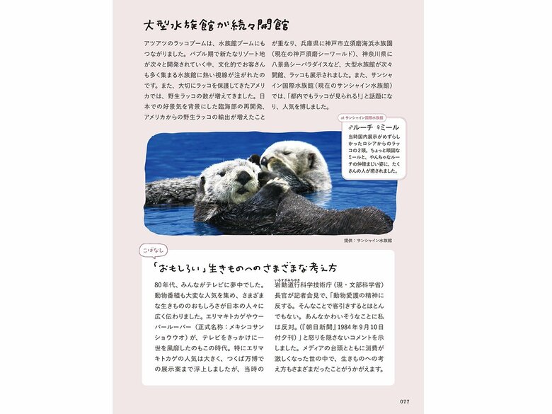 『おいでよ！ラッコ沼への招待状』（世界文化社）より