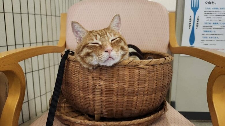 「むー隊長の好きなように過ごしてほしい」