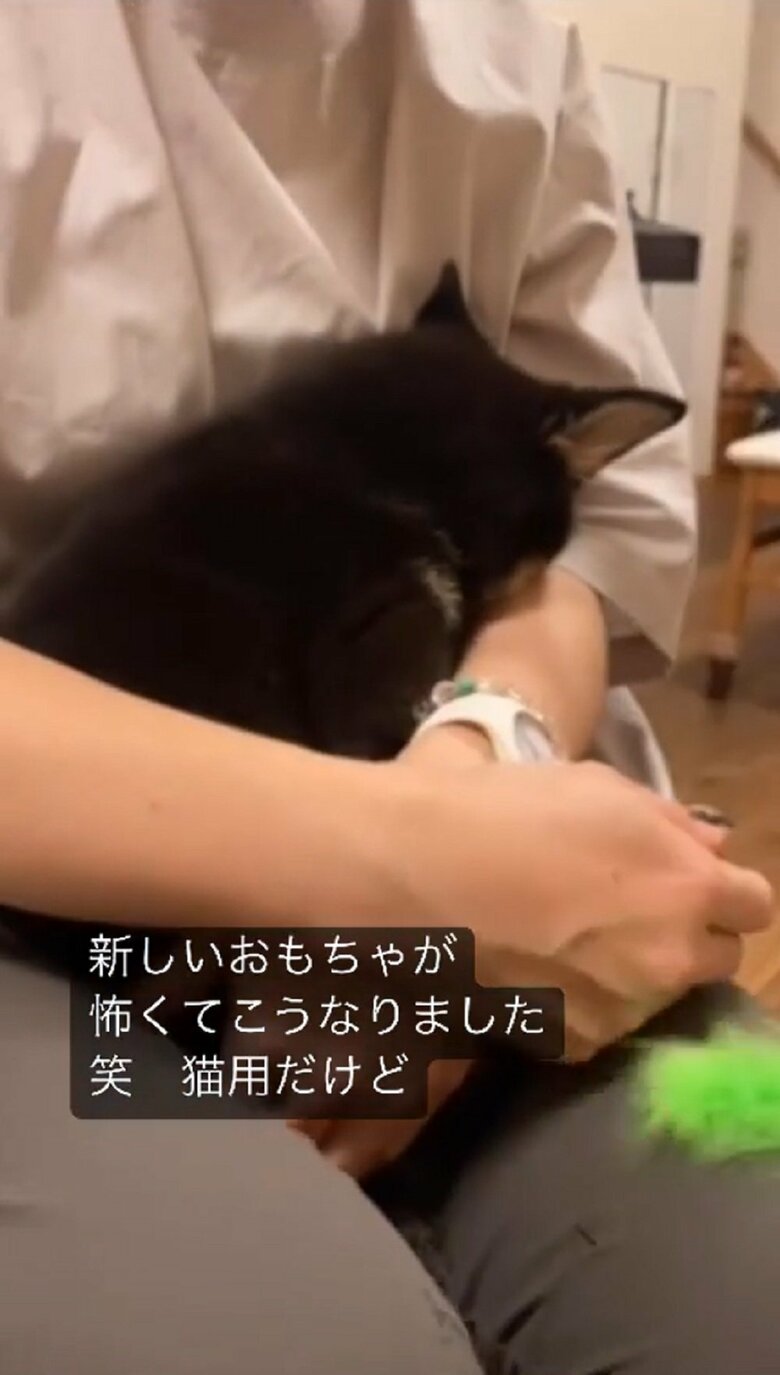 そして再度顔をうずめる「やだやだ～」と言っているかのよう