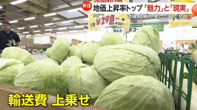 輸送費の上乗せで割高になる野菜