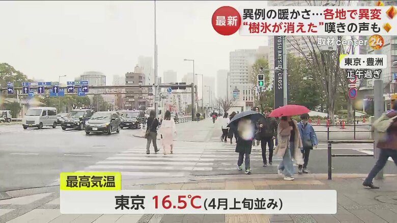 最高気温16.5度と、4月上旬並みの暖かさとなった東京の様子