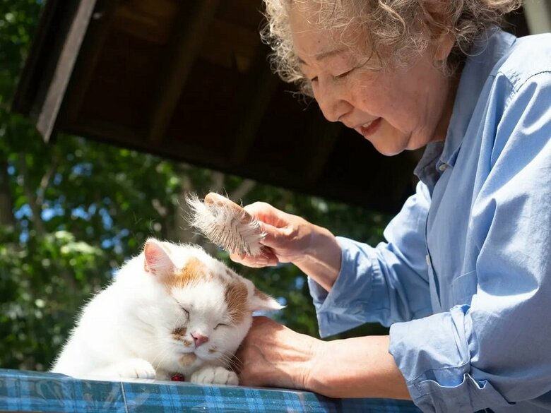 お母さんのブラッシングが大好き（提供：MARCOさん）