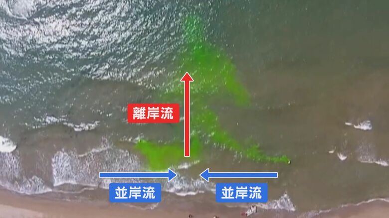 約4分後には、50ｍ程沖へ…（提供：長岡技術科学大学）