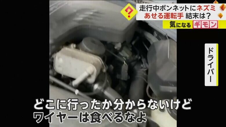 追い払うことを諦め、姿が見えないネズミに笑って声をかけるドライバー