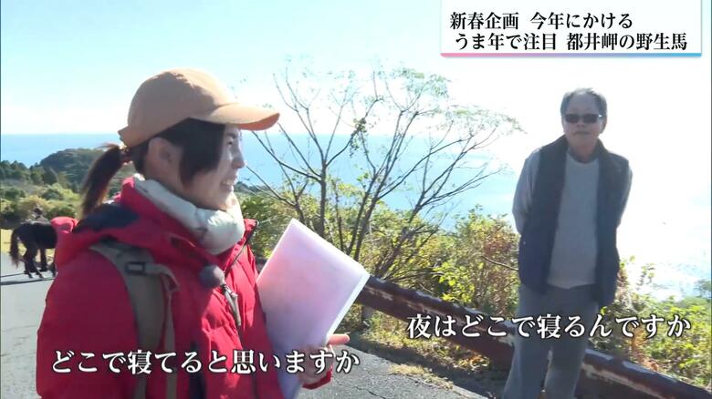 観光客に都井岬の魅力を語る世良田さん