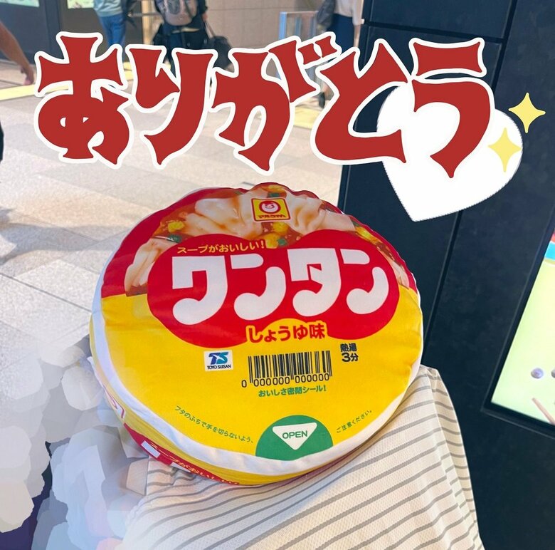 男性からもらったワンタンクッション