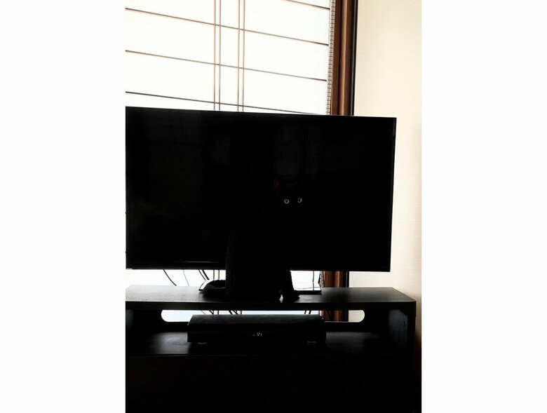 提供：マクーさん