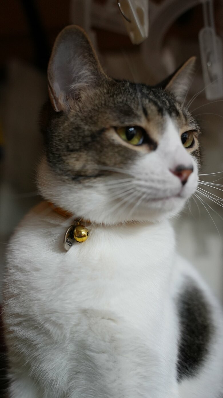 提供：ゆに＆メッシさん