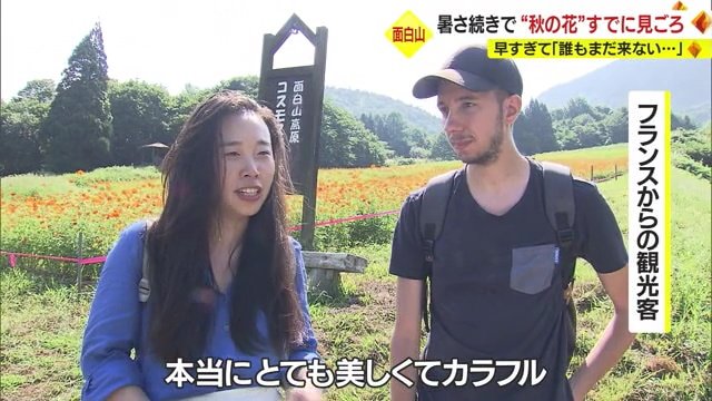 日本の花を褒めるフランスからの観光客