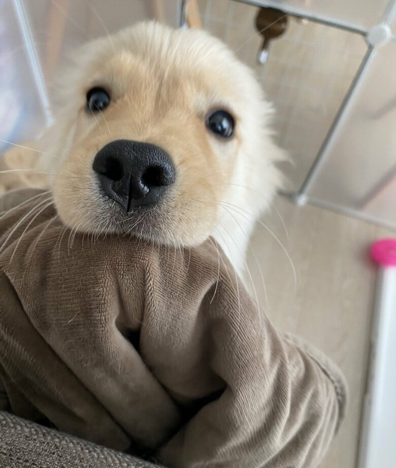 「遊んでー！」