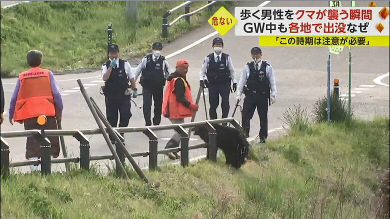 岩手･大槌町では、2日から、クマの出没が相次いでいた