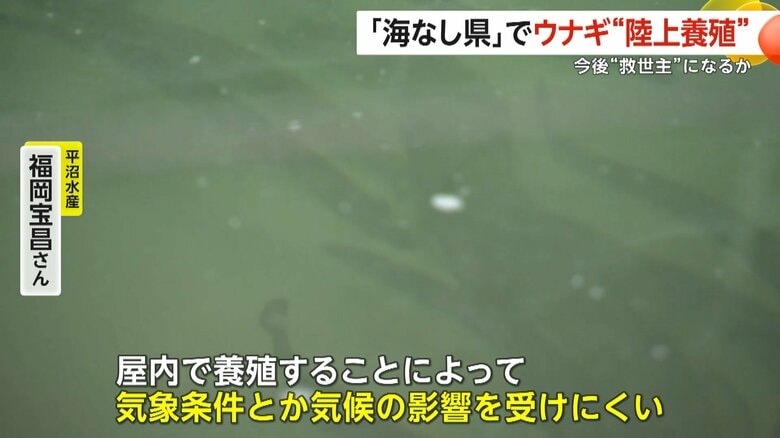 屋内で養殖することで気候の影響を受けにくいという「陸上養殖」