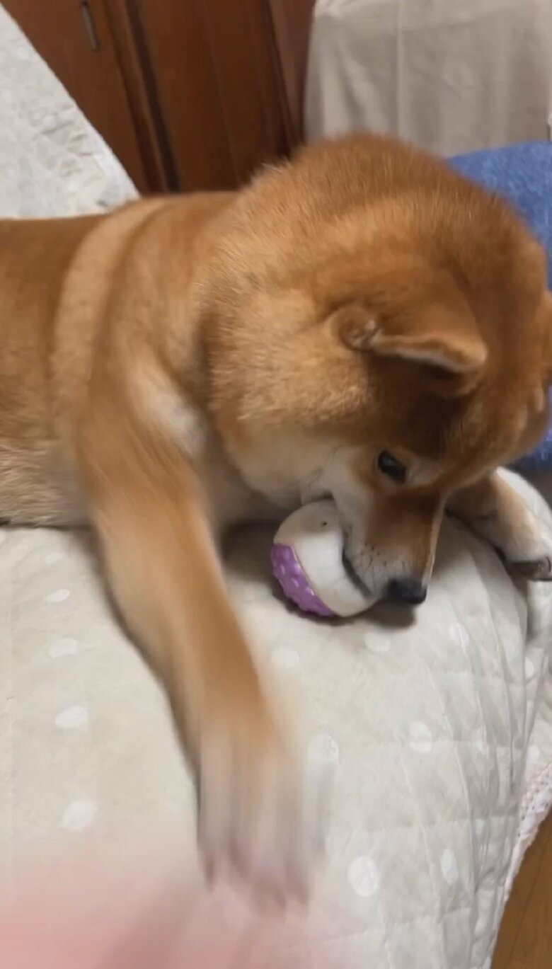 まるで餅つきをしているかのよう