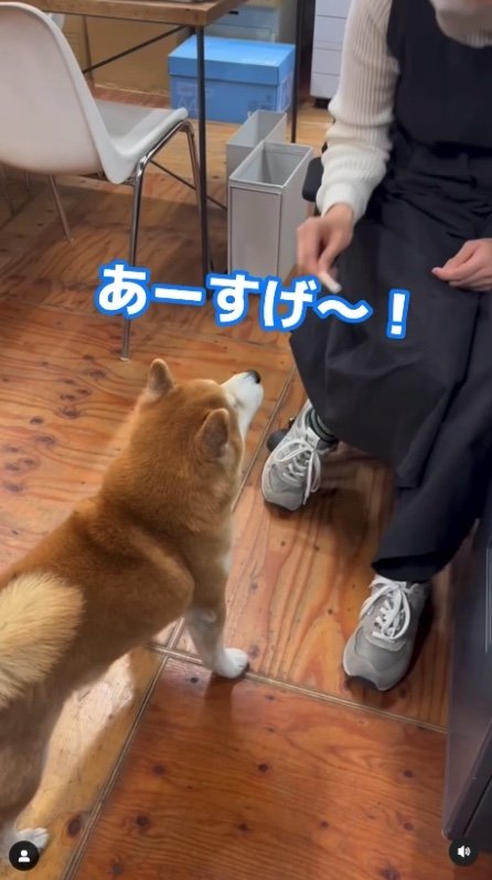 提供：エイトデザイン