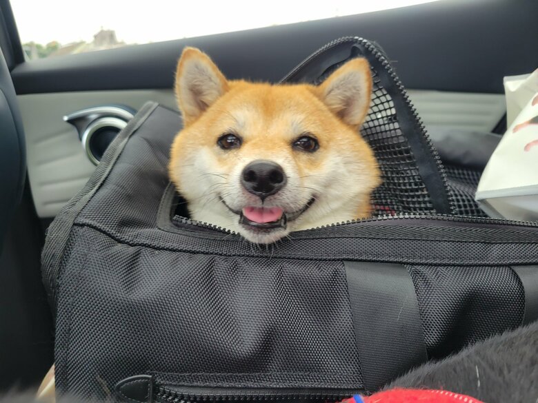 提供：kuroazu_beansさん