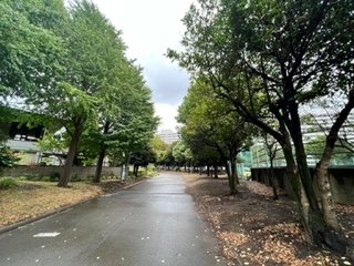 延焼を防止するため、水分を含んだ防火力の高い常緑広葉樹が植えられている