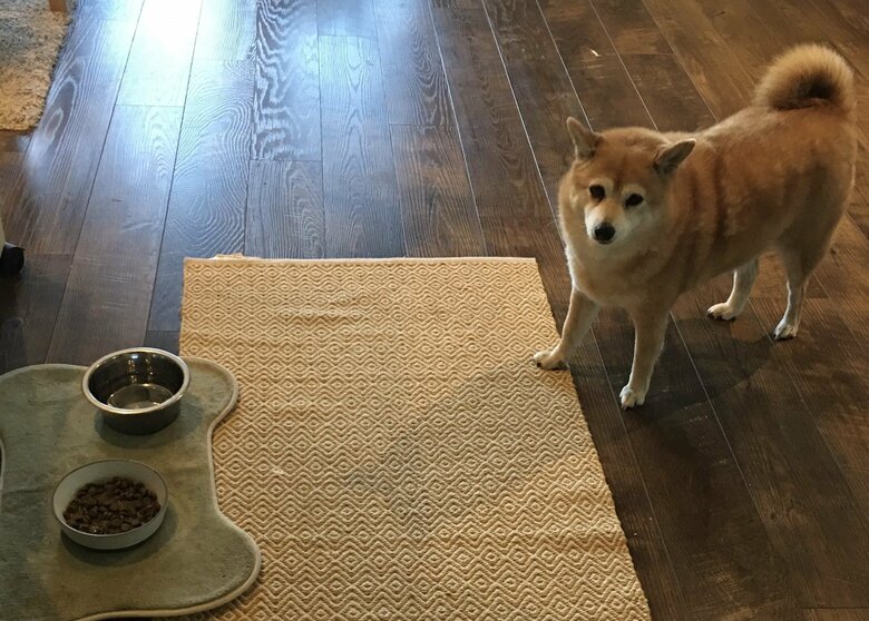 普段食べないものは警戒することも