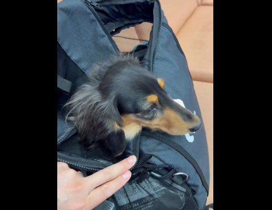 「ここはどこ？」