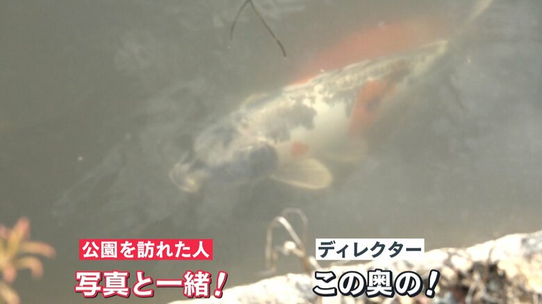 めざまし8のカメラが捉えた人面魚