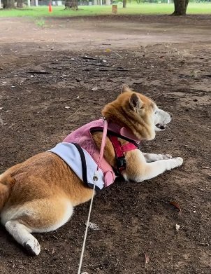 くるりと背を向けリラックス？