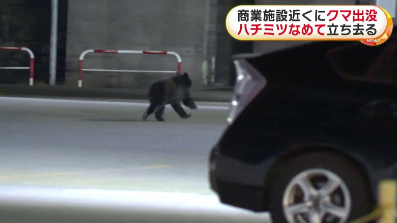 クマは川の方向へ走り去った