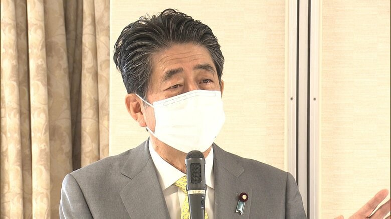 “アベノマスク”に「2億8000万枚の希望があった」と話す安倍元首相（27日）