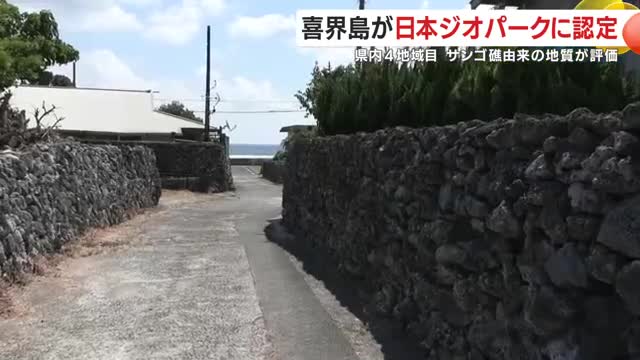 石垣や鉢などにサンゴを利用する「サンゴ礁文化」が根付く