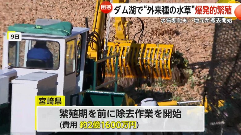 約2億1600万円を掛け、1月から除去作業を開始した宮崎県