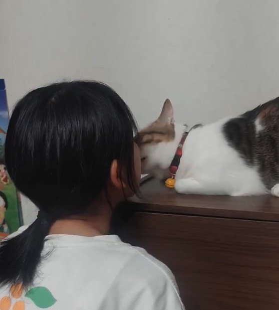 提供：nyaokoさん