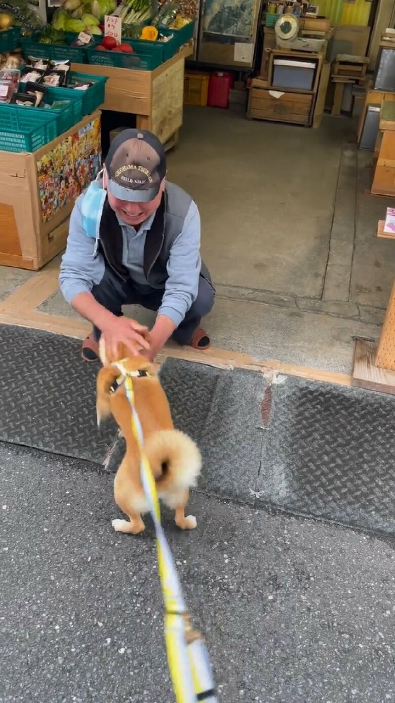 甲高い声を上げながらなでなでを堪能するマメちゃん