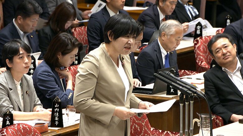 質問する立憲・岸真紀子参院議員