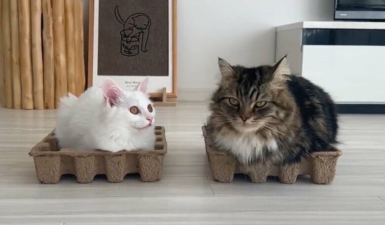 同じ大きさの箱