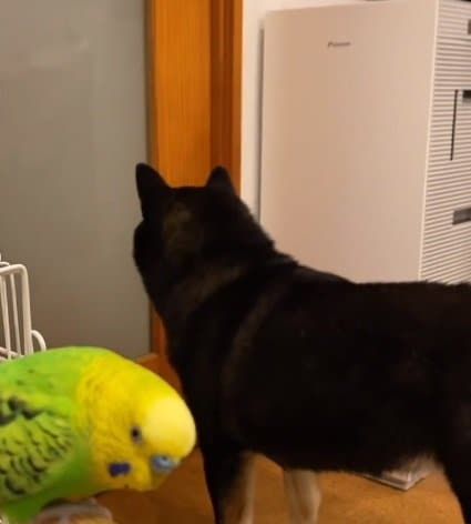 絶妙な距離感のふたり…