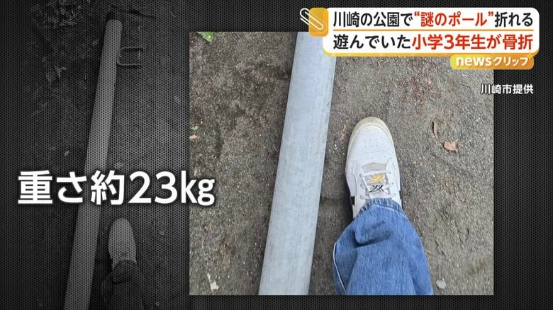 折れて地面に転がっていたポール