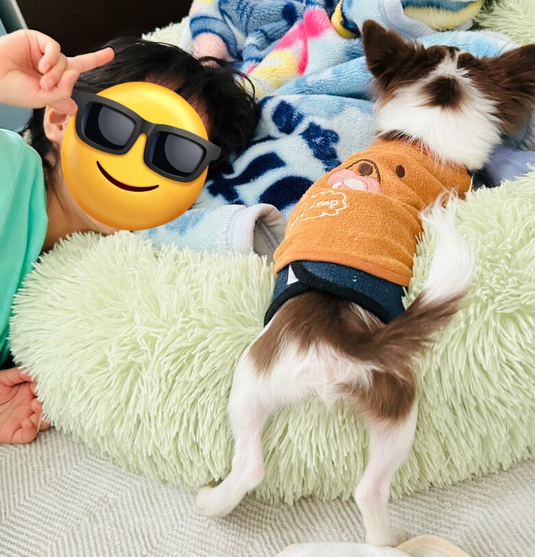 “パピー時代”のそると君