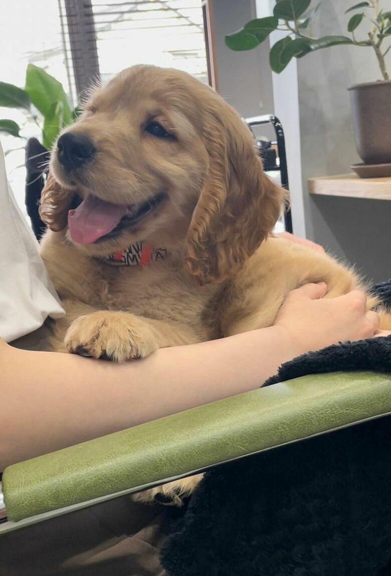 提供：関口和也さん