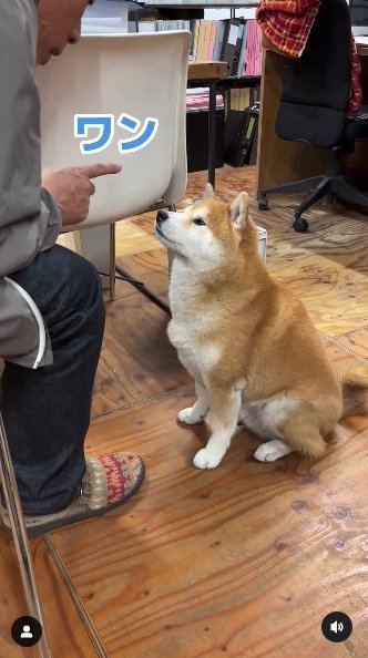 提供：エイトデザイン