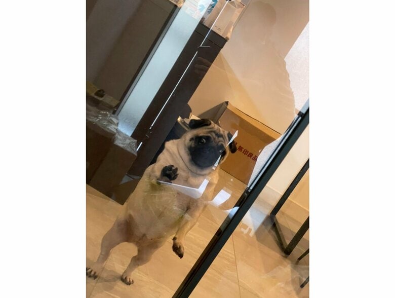 提供：よこむすびさん