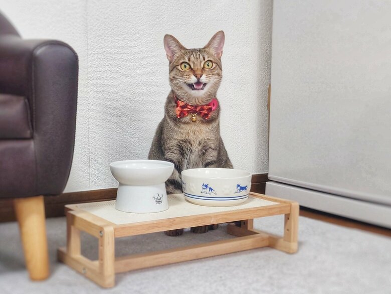 「ごはん食べる？」と聞かれたときの表情