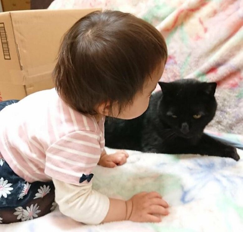 赤ちゃんの頃の娘さんとふくくん