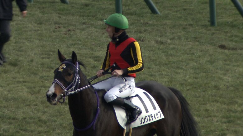 桜花賞3着＆オークス5着のリンクスティップ