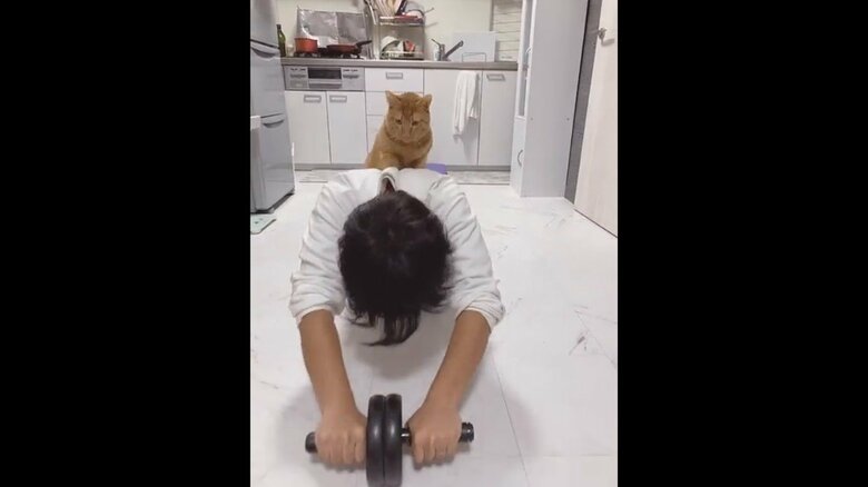 提供：たぬき&とらさん