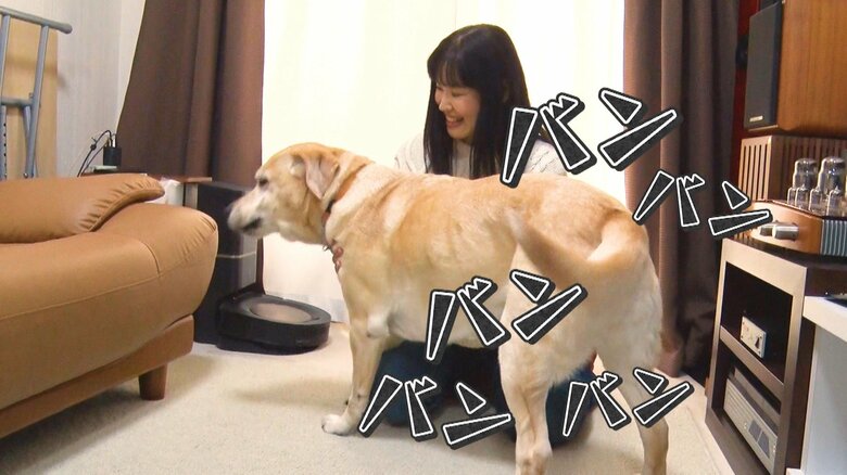 山岸さんになでられてうれしそうにしっぽを振るアリエル