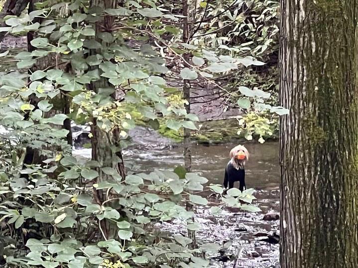 夏の泥遊び（提供：hair.axis）