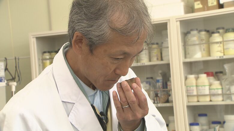 ホクト きのこ総合研究所・大内謙二 開発研究部長
