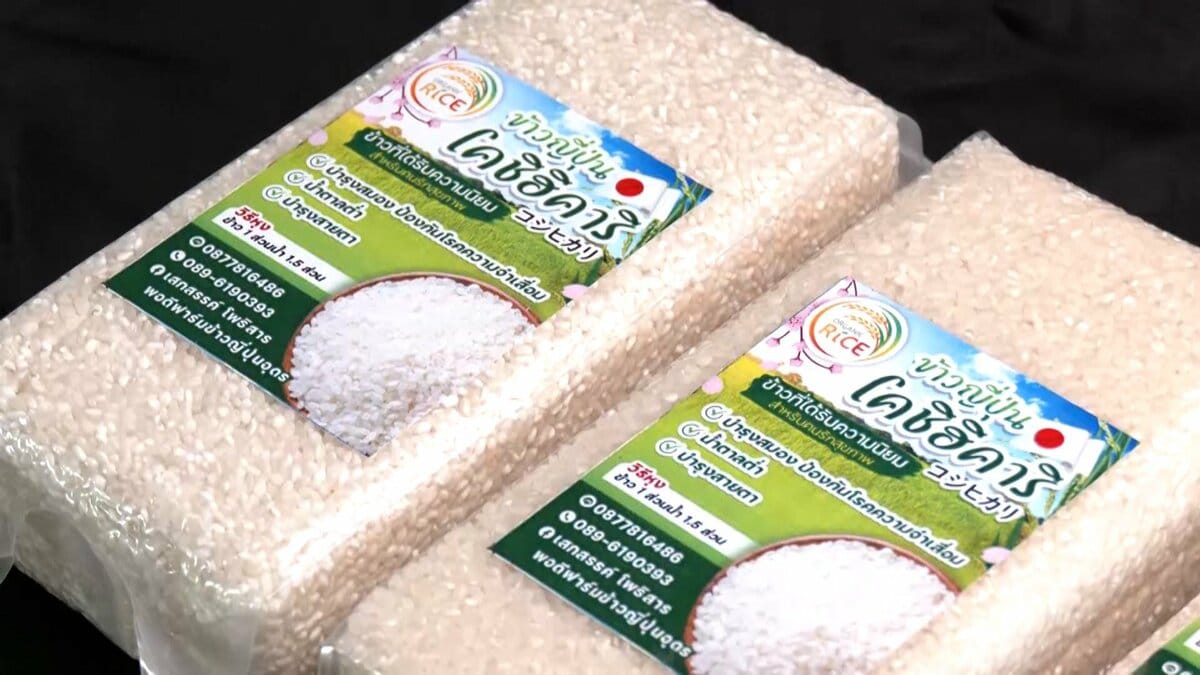 毎月収穫可能！タイ産「コシヒカリ」が日本市場に熱視線 5キロ約2230円