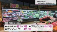 毎日の食卓に欠かせない野菜の高騰が家計を直撃！少しでも負担を減らすコツや今買い時の野菜をバイヤーに聞いた