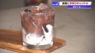 ぷにぷにロウで作る本物そっくりカフェラテキャンドル　梅雨は古民家で癒やし体験を【高知】